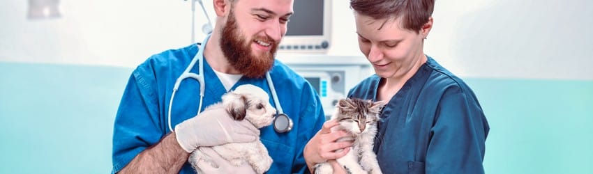 vets-holding-puppy-and-kitten
