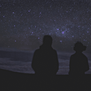 two silhouettes starring at a dark purple starry sky